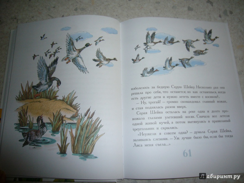 Иллюстрация 22 из 48 для Сказки про животных - Паустовский, Бианки, Заходер | Лабиринт - книги. Источник: Юлия АС