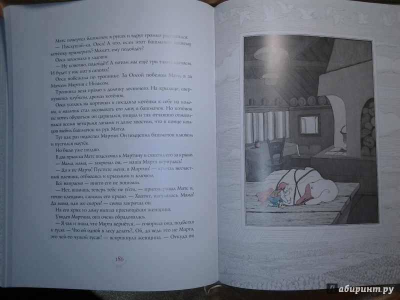Иллюстрация 22 из 29 для Чудесное путешествие Нильса с дикими гусями - Сельма Лагерлеф | Лабиринт - книги. Источник: Olga