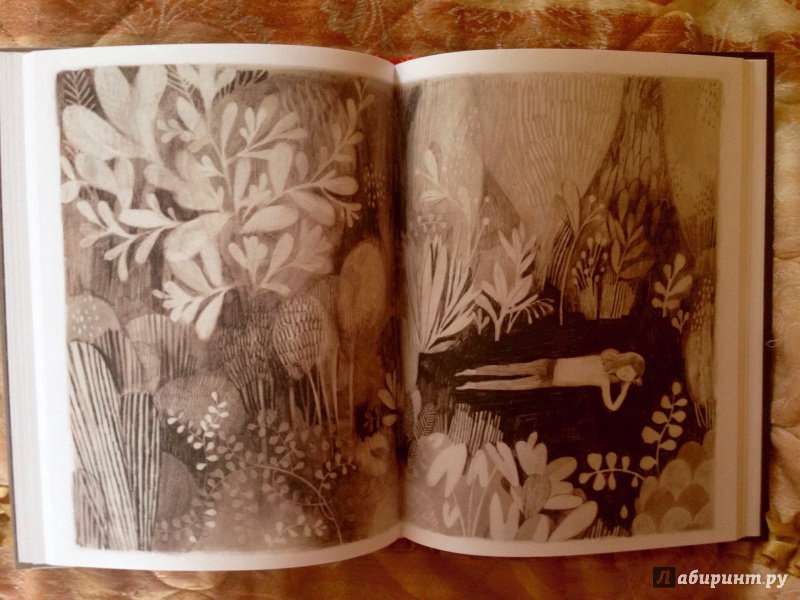 Иллюстрация 25 из 50 для Джейн, лиса и я - Фанни Бритт | Лабиринт - книги. Источник: Псевдоним