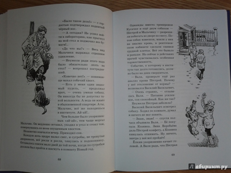 Иллюстрация 30 из 65 для Тяпа, Борька и ракета - Баранова, Велтистов | Лабиринт - книги. Источник: Olga
