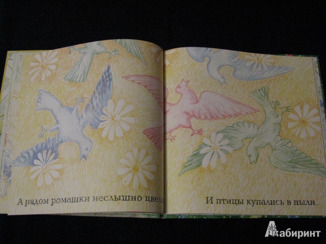 Иллюстрация 23 из 31 для Енот и бабочка - Александр Коняшов | Лабиринт - книги. Источник: Nemertona