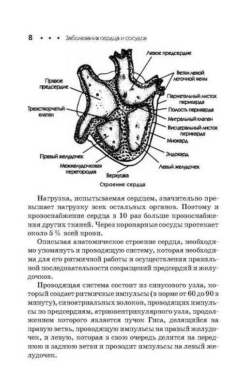 Иллюстрация 3 из 15 для Заболевания сердца и сосудов. Профилактика и лечение - Константин Крулев | Лабиринт - книги. Источник: Ялина