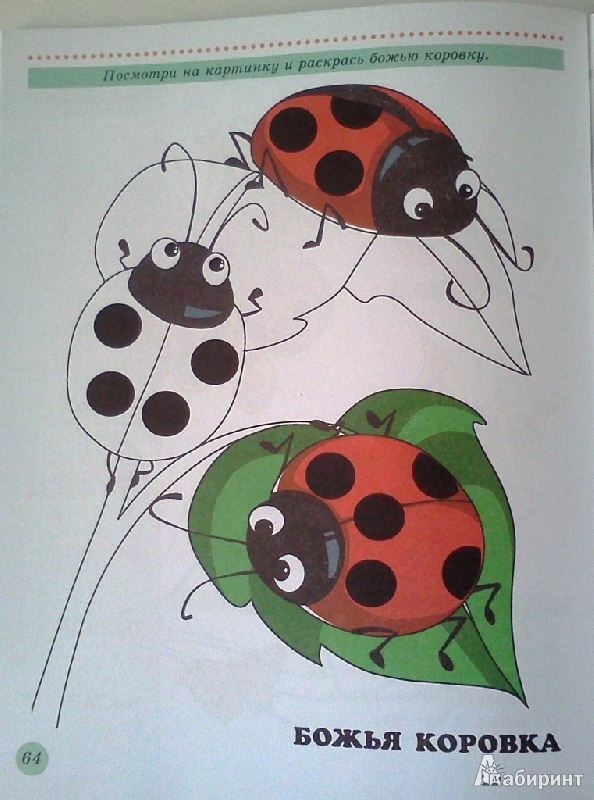 Иллюстрация 26 из 27 для Ребятам о зверятах. | Лабиринт - книги. Источник: ОксанаШ