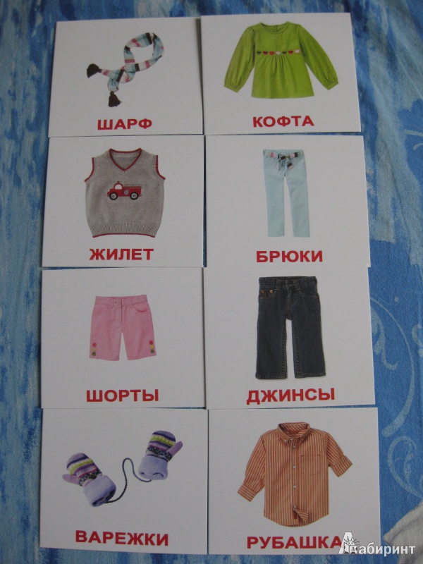 Иллюстрация 4 из 4 для Комплект карточек мини "Одежда". 8х10 см - Носова, Епанова | Лабиринт - книги. Источник: White lady