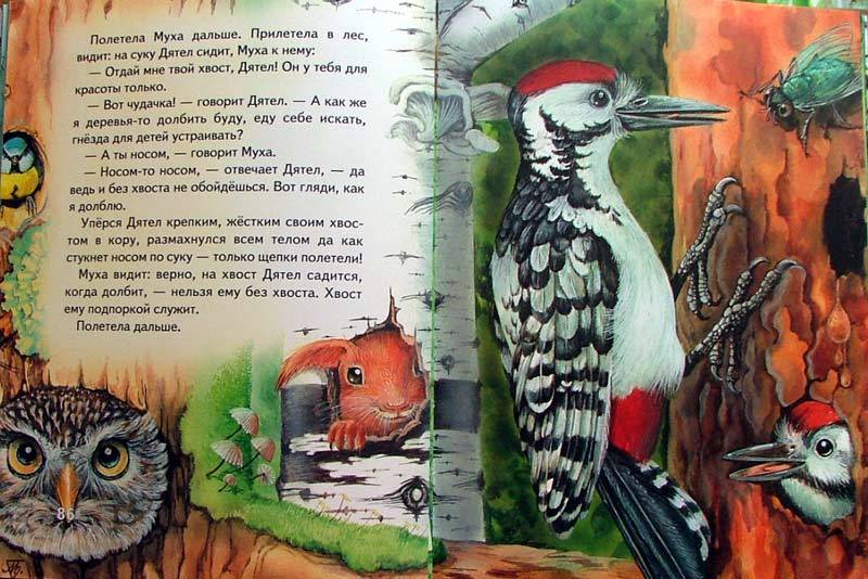 Иллюстрация 5 из 27 для Сказки о животных - Виталий Бианки | Лабиринт - книги. Источник: МЕГ