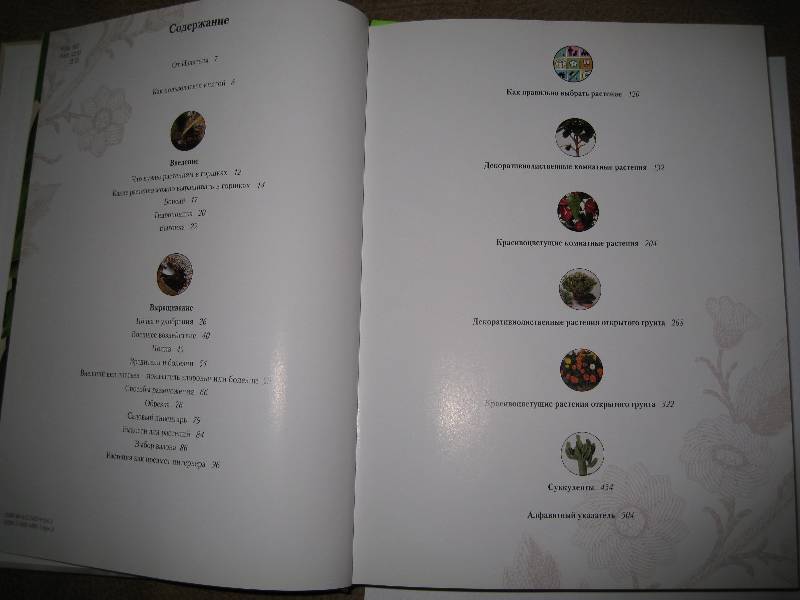 Иллюстрация 2 из 15 для Декоративные растения от А до Я: Дом, балкон, сад | Лабиринт - книги. Источник: Нателла