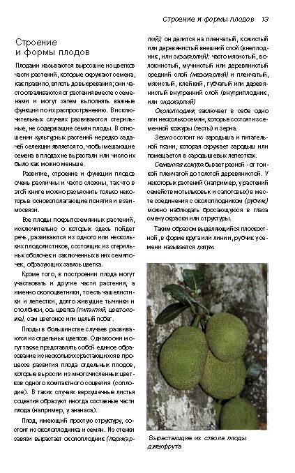 Иллюстрация 17 из 30 для Тропические плоды. Биология, применение, выращивание и сбор урожая - Новак, Шульц | Лабиринт - книги. Источник: MIV
