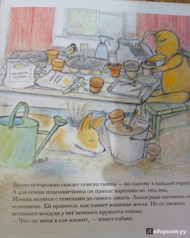 Иллюстрация 42 из 51 для Весна мишки Бруно - Гунилла Ингвес | Лабиринт - книги. Источник: Панина Елена