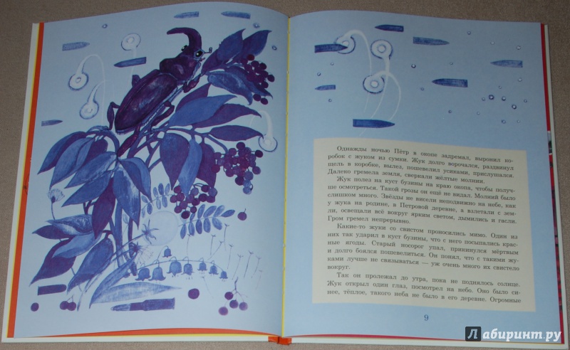 Иллюстрация 18 из 24 для Похождения жука-носорога - Константин Паустовский | Лабиринт - книги. Источник: Книжный кот