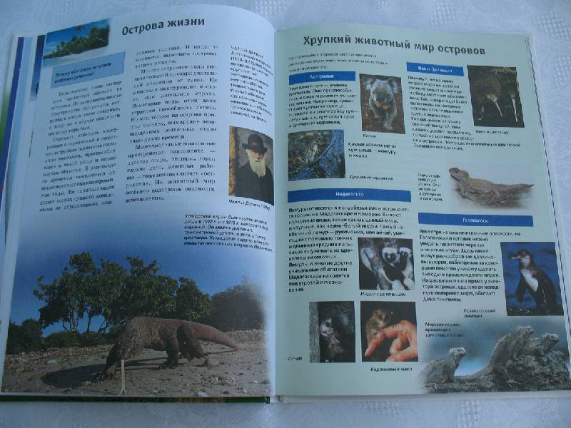 Иллюстрация 11 из 15 для Вымершие и вымирающие животные - Дитмар Мертенс | Лабиринт - книги. Источник: tayana