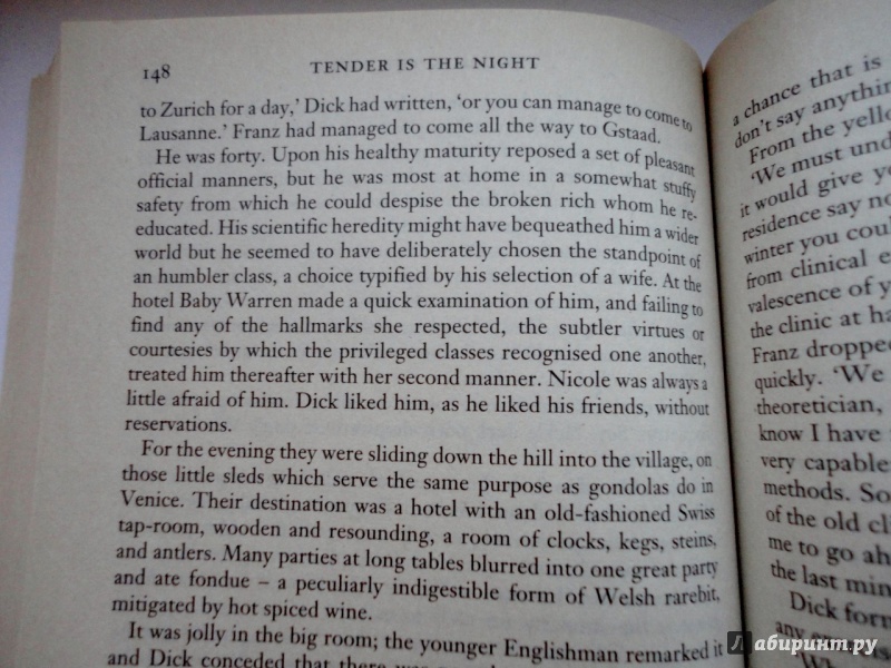 Иллюстрация 9 из 25 для Tender is the Night & The Last Tycoon - Francis Fitzgerald | Лабиринт - книги. Источник: blackbunny33
