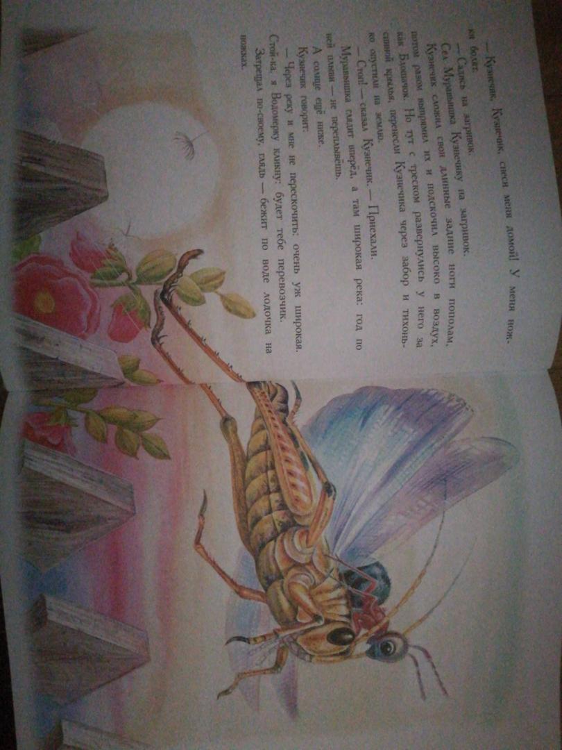 Иллюстрация 27 из 36 для Сказки для детей - Виталий Бианки | Лабиринт - книги. Источник: Голубова  Ирина