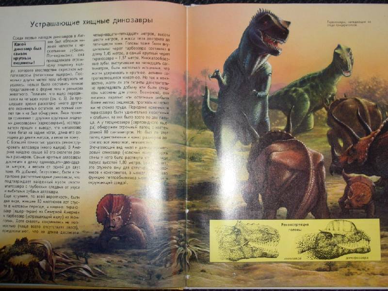 Иллюстрация 2 из 17 для Динозавры - Иоахим Опперман | Лабиринт - книги. Источник: sher