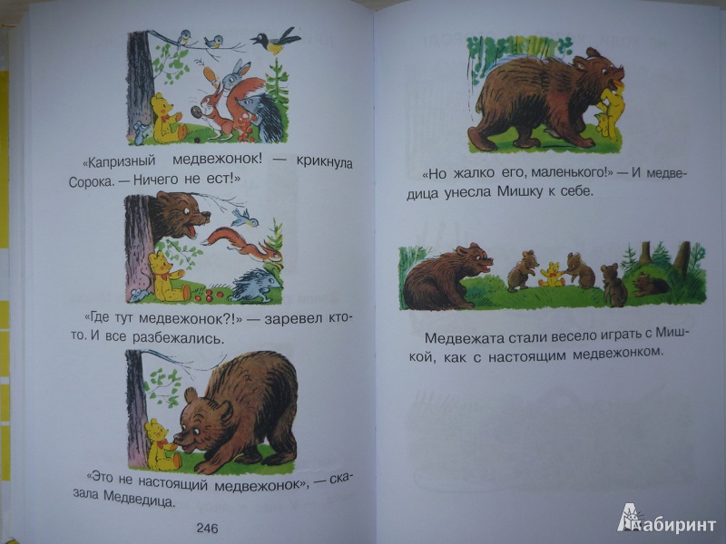Иллюстрация 42 из 149 для Все сказки и картинки - Владимир Сутеев | Лабиринт - книги. Источник: enikebenike
