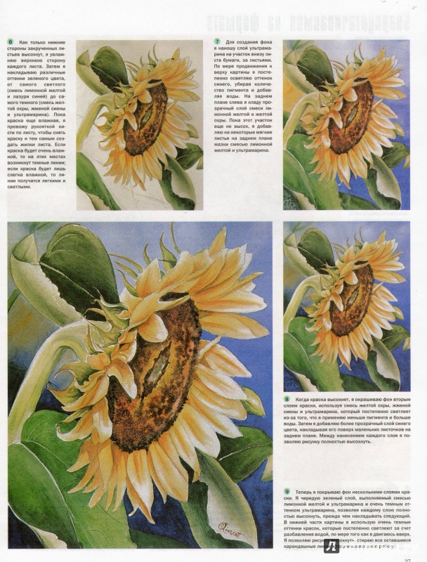 Иллюстрация 6 из 14 для Цветы и растения - Лискотт, Мидвей, Фудерич | Лабиринт - книги. Источник: Reiatsu