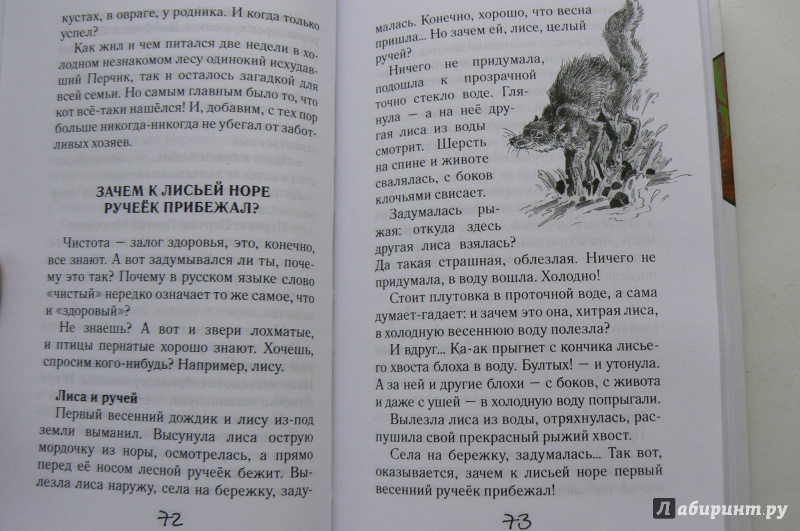 Иллюстрация 14 из 36 для Охотничья избушка - Николай Красильников | Лабиринт - книги. Источник: Марина