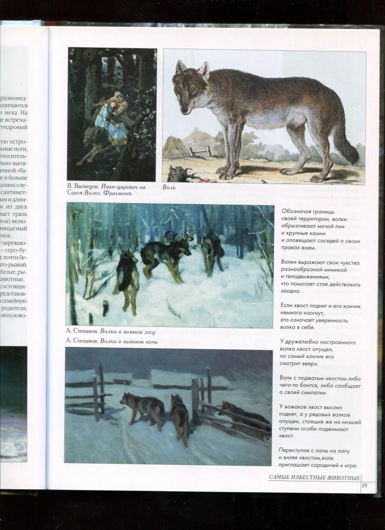 Иллюстрация 19 из 52 для Самые известные животные | Лабиринт - книги. Источник: Лабиринт