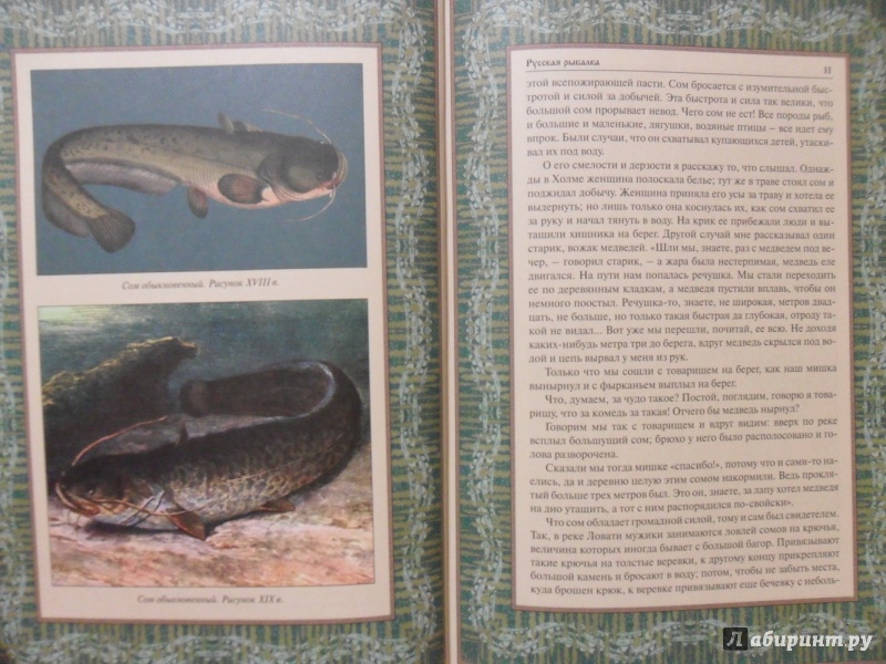 Иллюстрация 6 из 33 для Русская рыбалка | Лабиринт - книги. Источник: sleits