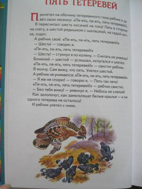 Иллюстрация 20 из 46 для Лесные сказки - Николай Сладков | Лабиринт - книги. Источник: NINANI