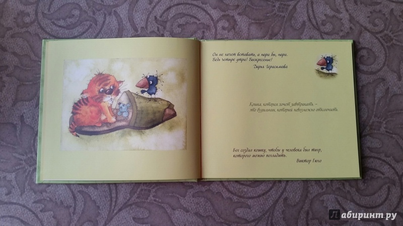 Иллюстрация 4 из 25 для Про мурчалок и царапок - Виктория Кирдий | Лабиринт - книги. Источник: Юлия