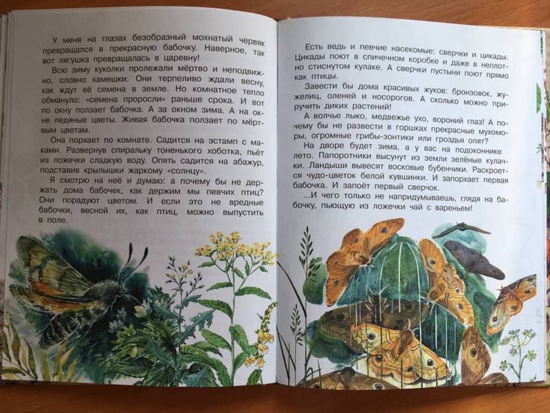 Иллюстрация 60 из 65 для Лесные сказки - Николай Сладков | Лабиринт - книги. Источник: Павлова  Мария Николаевна