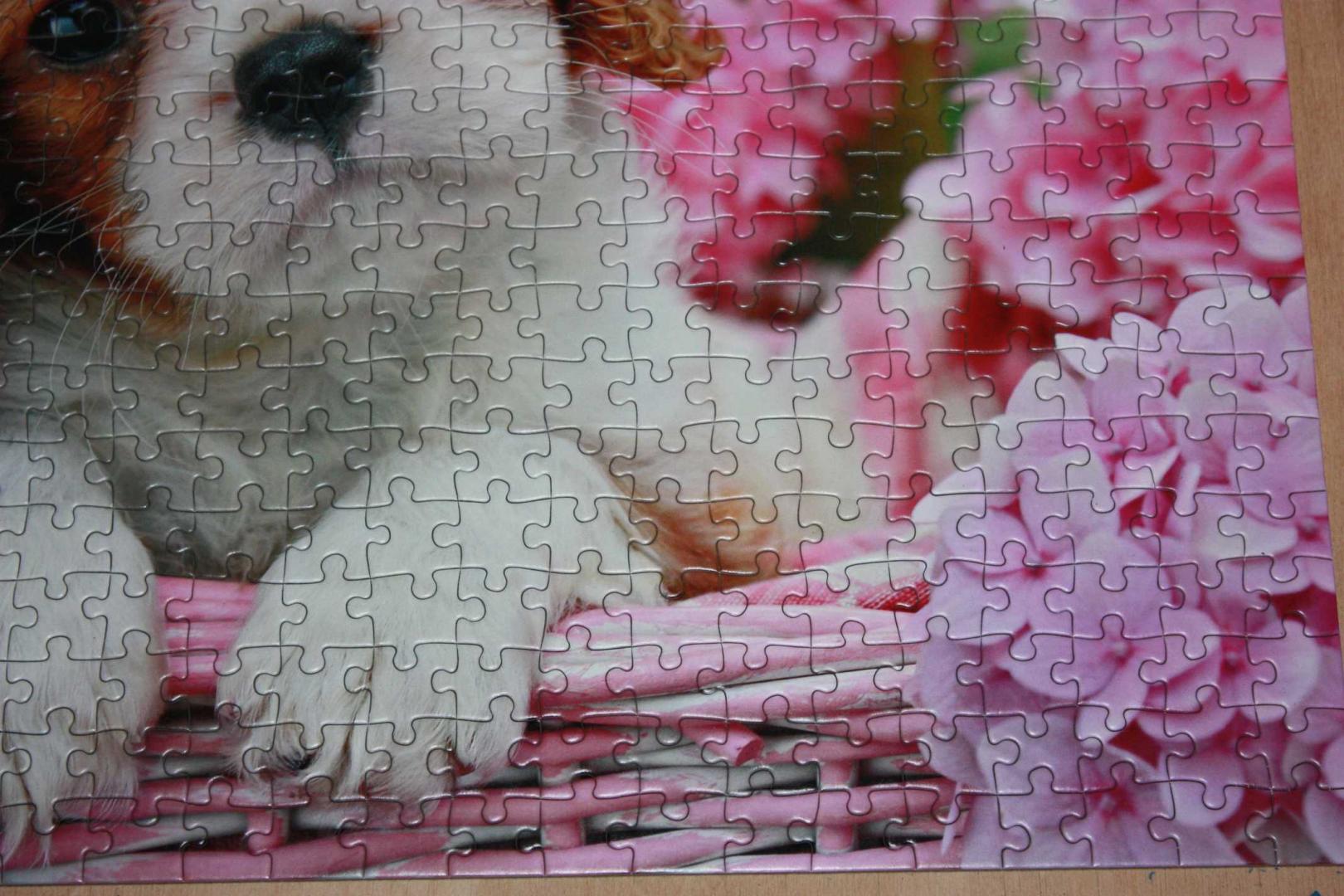 Иллюстрация 8 из 11 для Puzzle-500 "Щенок в цветах" (B-52233) | Лабиринт - игрушки. Источник: Михайлова Алексия