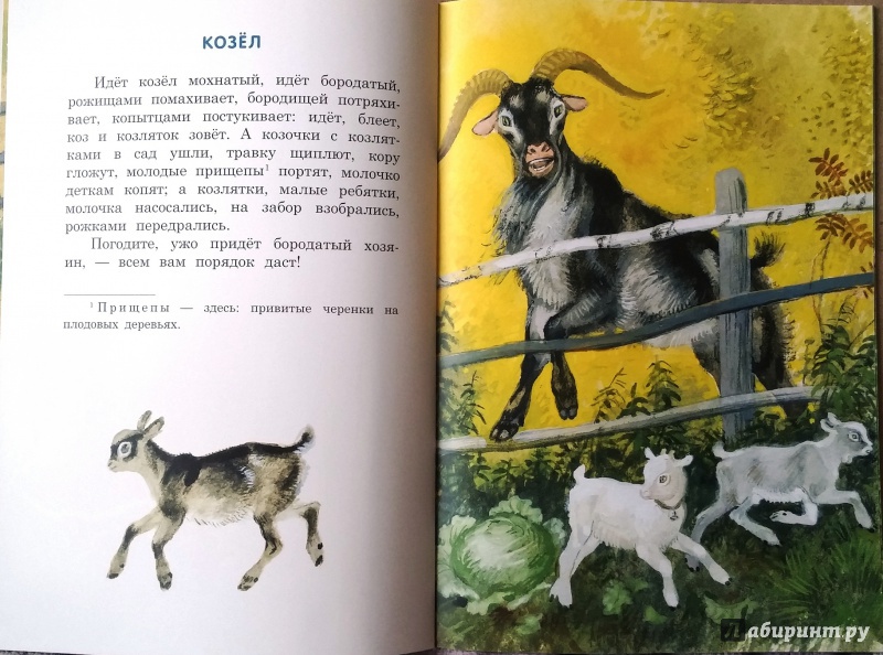 Иллюстрация 22 из 46 для Бишка - Константин Ушинский | Лабиринт - книги. Источник: Бог в помощь