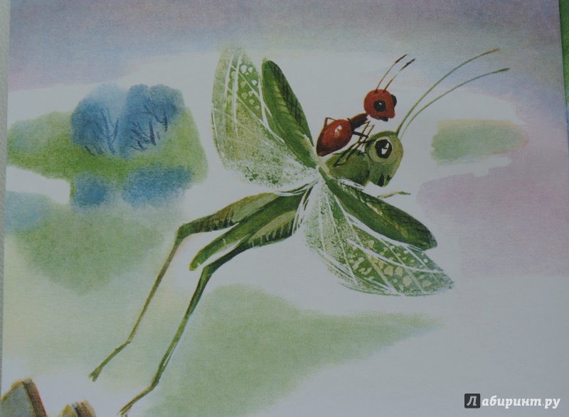 Иллюстрация 21 из 33 для Как муравьишка домой спешил - Виталий Бианки | Лабиринт - книги. Источник: adsveta