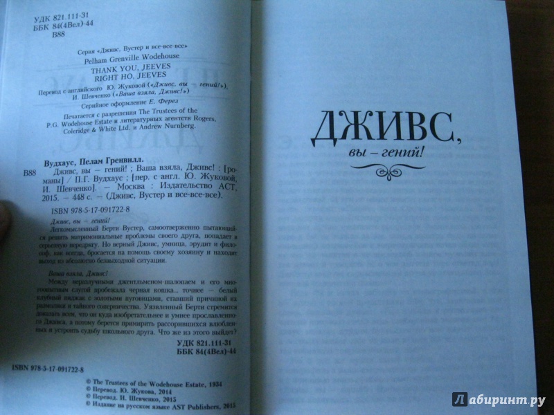 Иллюстрация 18 из 50 для Дживс, вы - гений! Ваша взяла, Дживс! - Пелам Вудхаус | Лабиринт - книги. Источник: Алечка1985