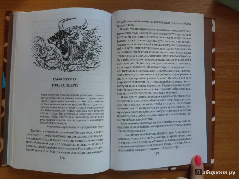 Иллюстрация 44 из 48 для Только звери - Джеральд Даррелл | Лабиринт - книги. Источник: Бойко  Анна