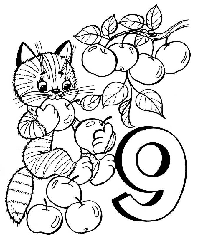 Иллюстрация 2 из 8 для Кошкин счет | Лабиринт - книги. Источник: Лана