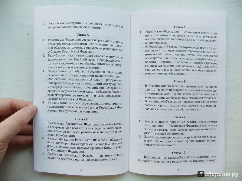 Иллюстрация 9 из 9 для Конституция Российской Федерации | Лабиринт - книги. Источник: Impaler