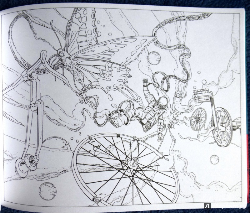 Иллюстрация 68 из 88 для Вокруг света на велосипеде. Раскраска-путешествие на край земли - Дзян Шань | Лабиринт - книги. Источник: reader*s
