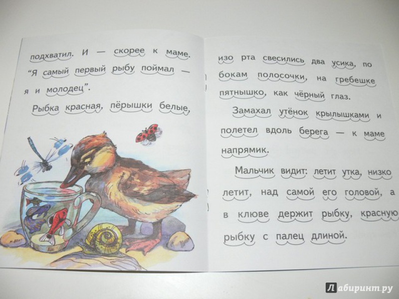 Иллюстрация 16 из 28 для Кружечка под ёлочкой - Борис Житков | Лабиринт - книги. Источник: Irbis