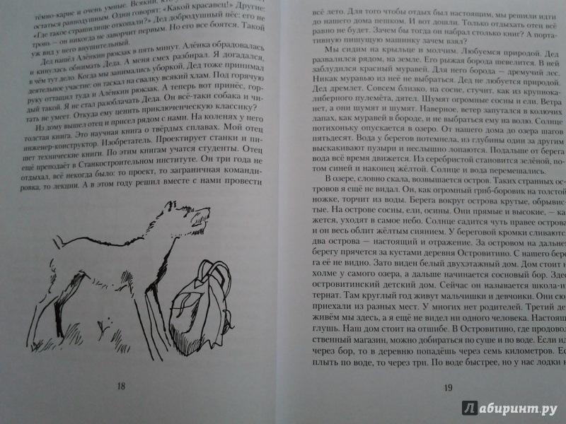Иллюстрация 14 из 15 для Президент Каменного острова - Вильям Козлов | Лабиринт - книги. Источник: Olga