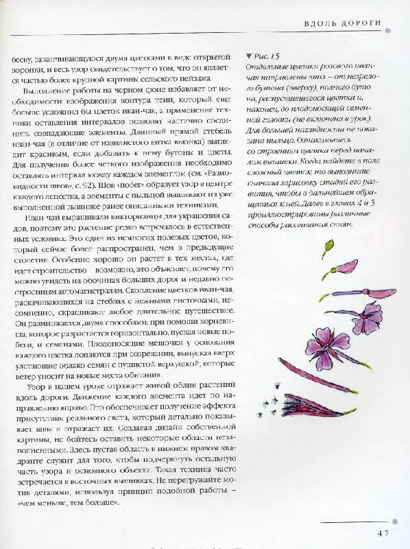 Иллюстрация 17 из 31 для Цветы. Практическое руководство - Хелен Стивенс | Лабиринт - книги. Источник: Юта