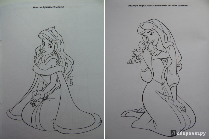 Иллюстрация 23 из 27 для Волшебная раскраска. Принцессы (№13231) | Лабиринт - книги. Источник: Мелкова  Оксана