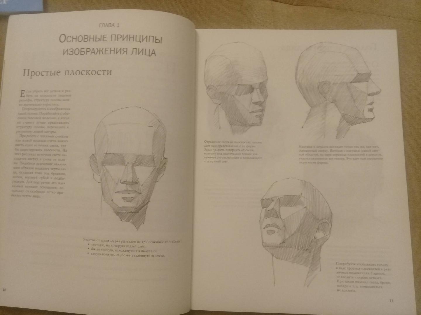 Иллюстрация 20 из 34 для Ключи к изображению лица и фигуры | Лабиринт - книги. Источник: елена
