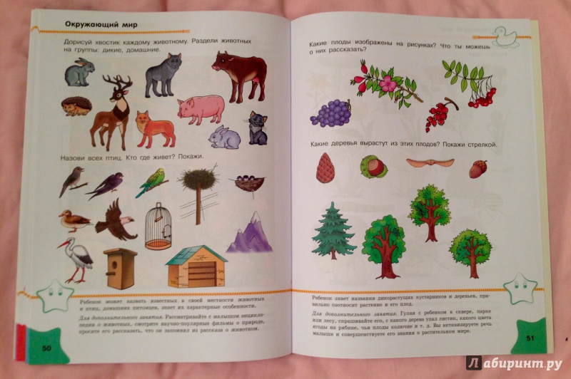 Иллюстрация 12 из 13 для Что знает малыш в 5-6 лет. Тесты | Лабиринт - книги. Источник: Псевдоним