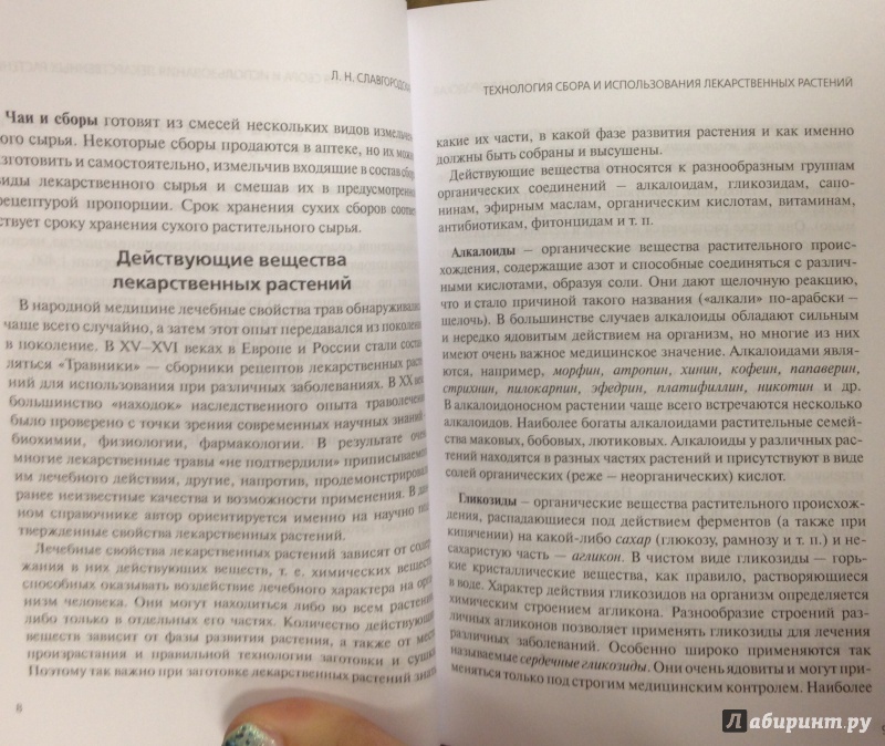 Иллюстрация 7 из 15 для Лекарственные растения. Чаи, сборы, травник, календарь сбора - Лариса Славгородская | Лабиринт - книги. Источник: Tatiana Sheehan