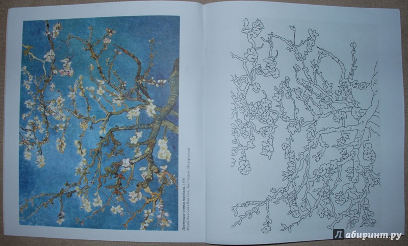 Иллюстрация 4 из 21 для Винсент Ван Гог | Лабиринт - книги. Источник: Книжный кот