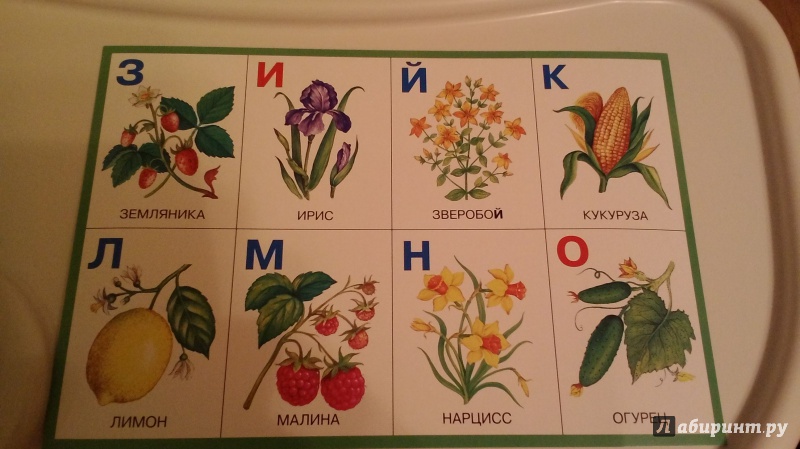 Придумайте азбуку цветов или азбуку сказочных. Азбука растений для детей. Азбука из растений. Лото Азбука растений. Азбука с цветами.