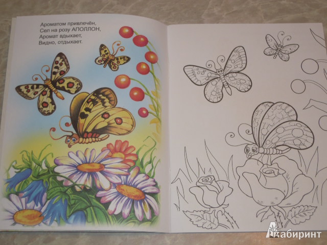 Иллюстрация 3 из 21 для Знакомимся с бабочками - Юрий Чичев | Лабиринт - книги. Источник: Iwolga