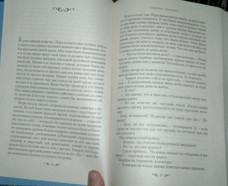 Иллюстрация 7 из 12 для Равная Солнцу - Анита Амирезвани | Лабиринт - книги. Источник: Леонид Сергеев