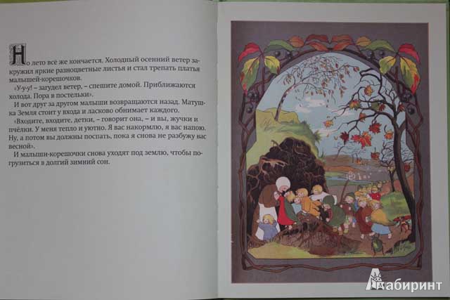 Иллюстрация 15 из 23 для Детки Матушки Земли - фон Олферс | Лабиринт - книги. Источник: сима