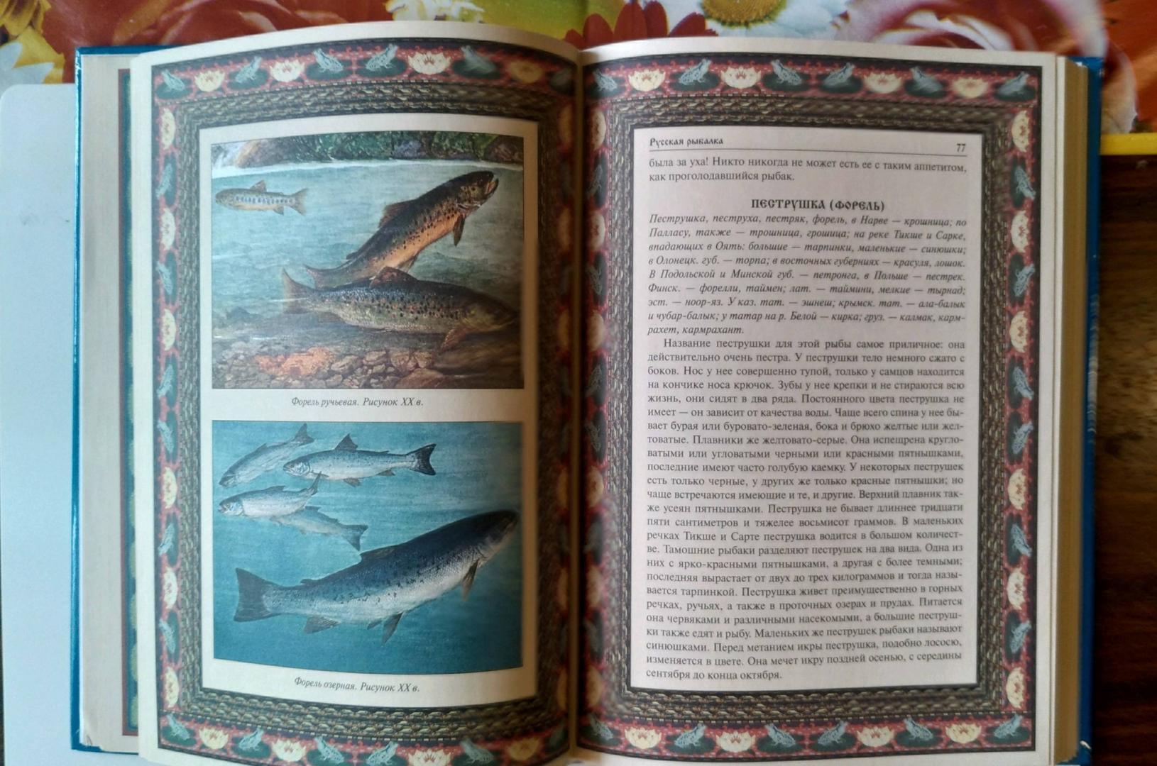 Иллюстрация 27 из 33 для Русская рыбалка | Лабиринт - книги. Источник: Минаков Максим