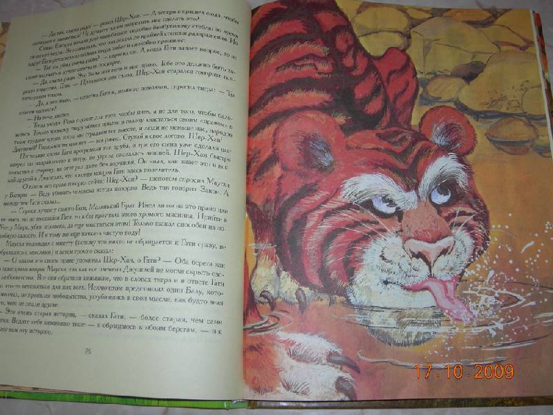 Иллюстрация 19 из 26 для Маугли - Редьярд Киплинг | Лабиринт - книги. Источник: Соловей