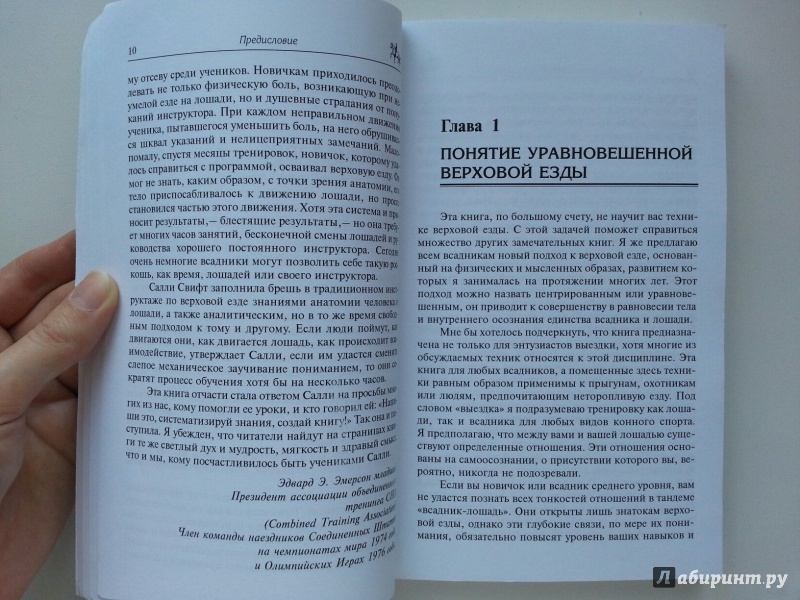 Иллюстрация 9 из 19 для Как достичь совершенства в верховой езде. Навыки центрированной верховой езды - Салли Свифт | Лабиринт - книги. Источник: VALERIYA