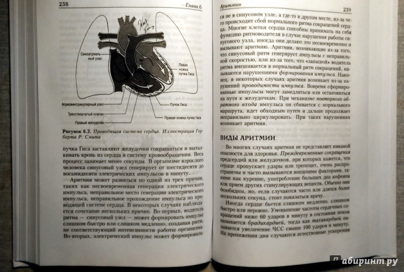 Иллюстрация 6 из 15 для Здоровое сердце. Издание XXI века - Дебейки, Готто-младший | Лабиринт - книги. Источник: olala