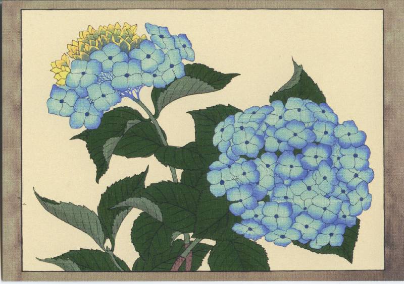 Иллюстрация 29 из 32 для Цветы Конана Танигами. На почтовых открытках | Лабиринт - сувениры. Источник: Anggva
